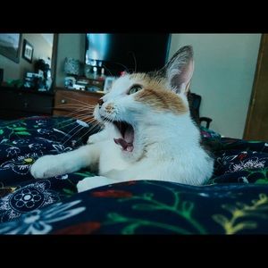 Meet your Posher, Andrea